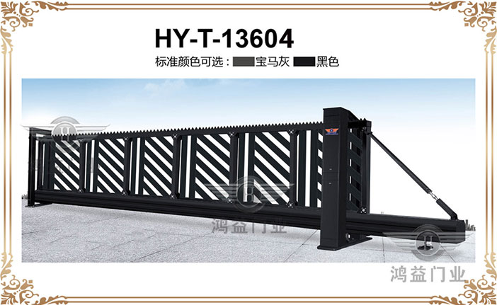 HY-T-13604.jpg